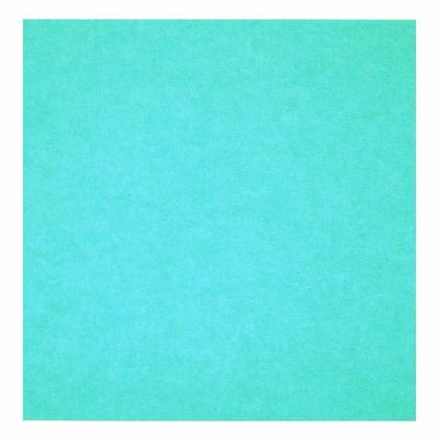 防火音響パネル 防音音響パネル パーソナライズされたサイズのためのPETフェルト音響パネル